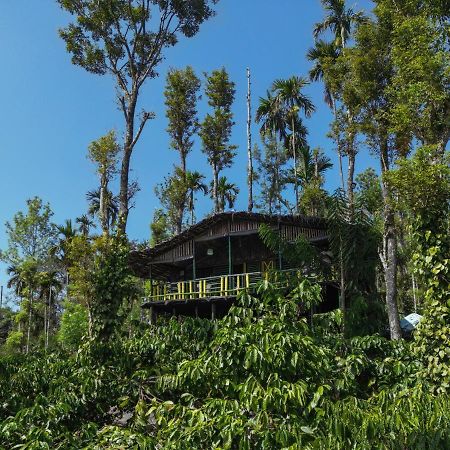 The Mountain Tree Home Wayanad Εξωτερικό φωτογραφία