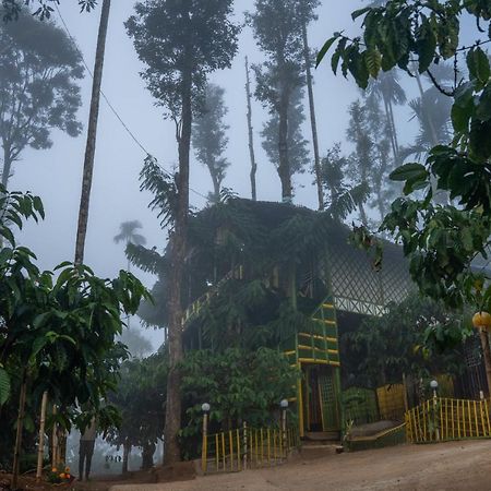 The Mountain Tree Home Wayanad Εξωτερικό φωτογραφία