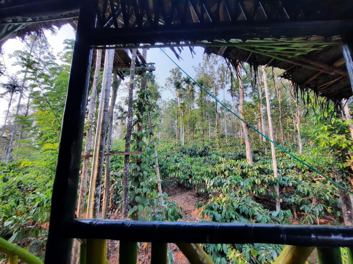 The Mountain Tree Home Wayanad Εξωτερικό φωτογραφία
