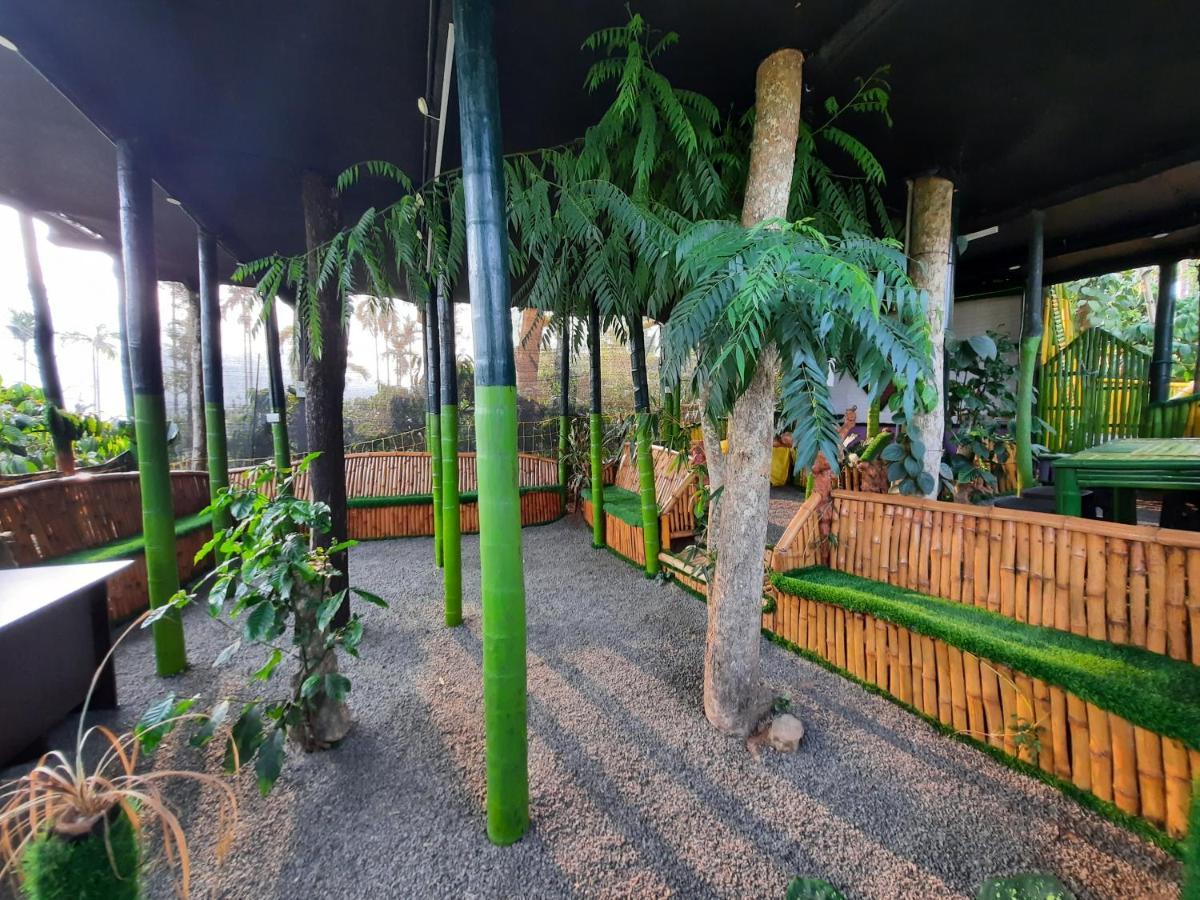 The Mountain Tree Home Wayanad Εξωτερικό φωτογραφία