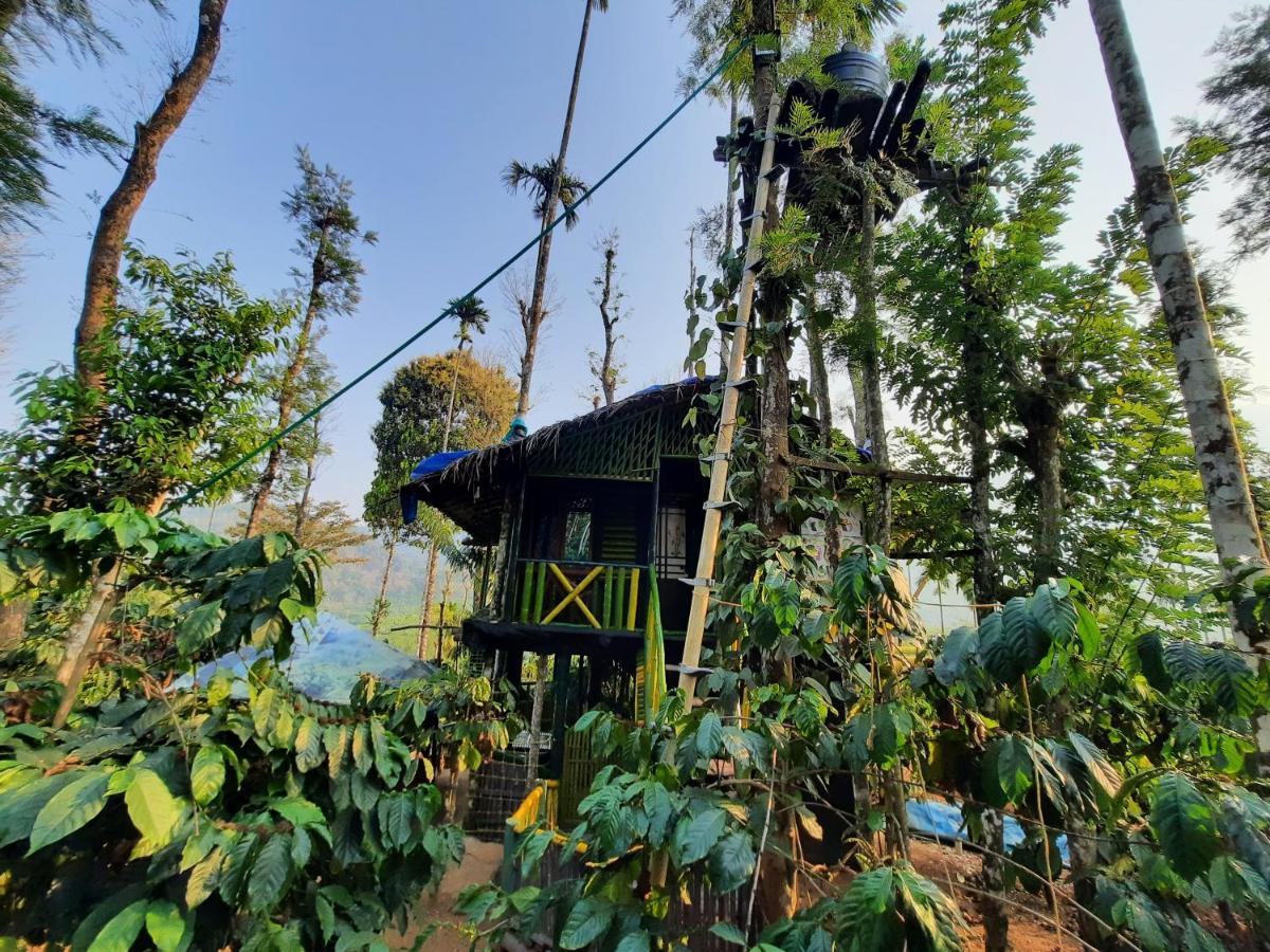The Mountain Tree Home Wayanad Εξωτερικό φωτογραφία