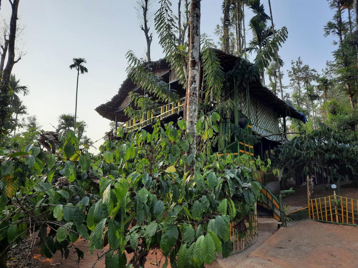 The Mountain Tree Home Wayanad Εξωτερικό φωτογραφία