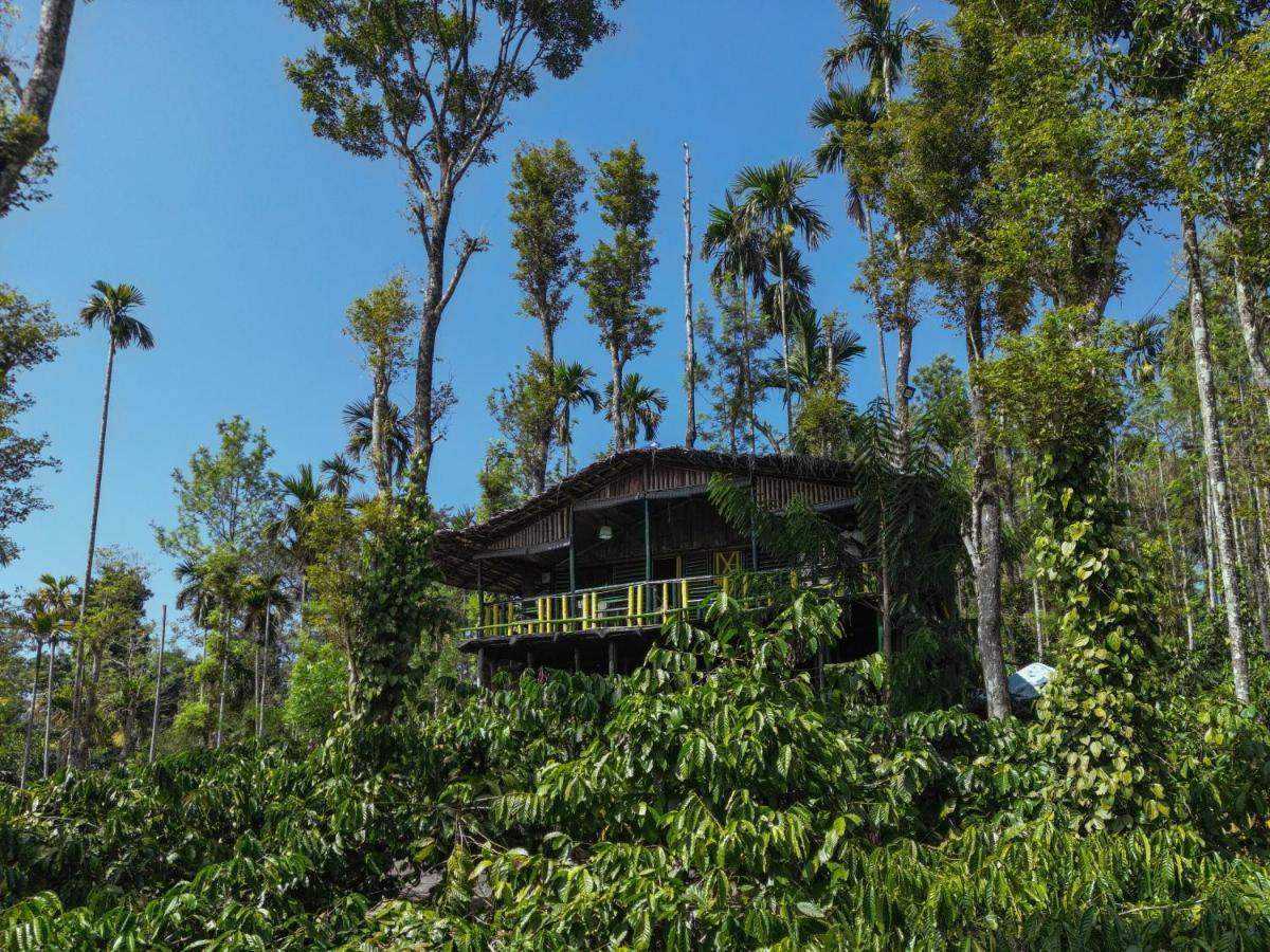 The Mountain Tree Home Wayanad Εξωτερικό φωτογραφία