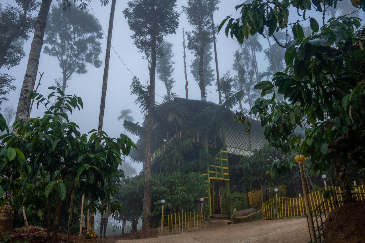 The Mountain Tree Home Wayanad Εξωτερικό φωτογραφία