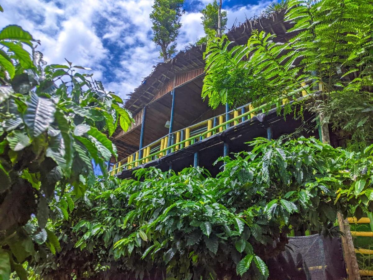 The Mountain Tree Home Wayanad Εξωτερικό φωτογραφία
