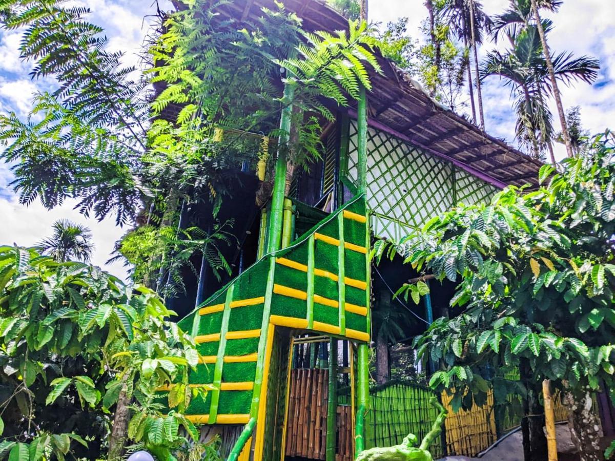The Mountain Tree Home Wayanad Εξωτερικό φωτογραφία